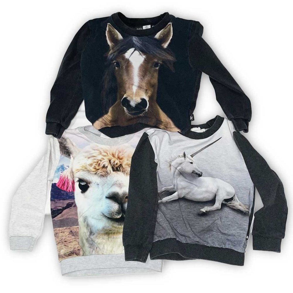 MOLO [3] printed SWEATSHIRT SET